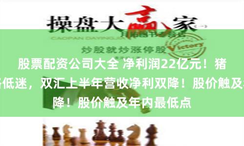 股票配资公司大全 净利润22亿元！猪禽产品价格低迷，双汇上半年营收净利双降！股价触及年内最低点